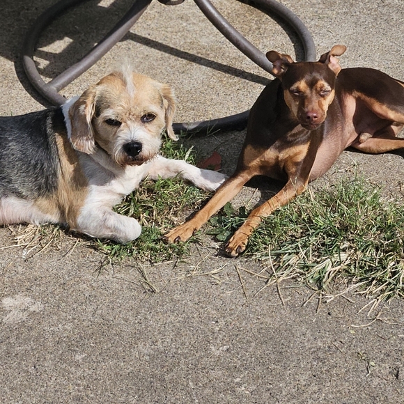 !! GIFTS !! RANDOMNESS GIFTs MARCH2026 - Picture 8 of 15